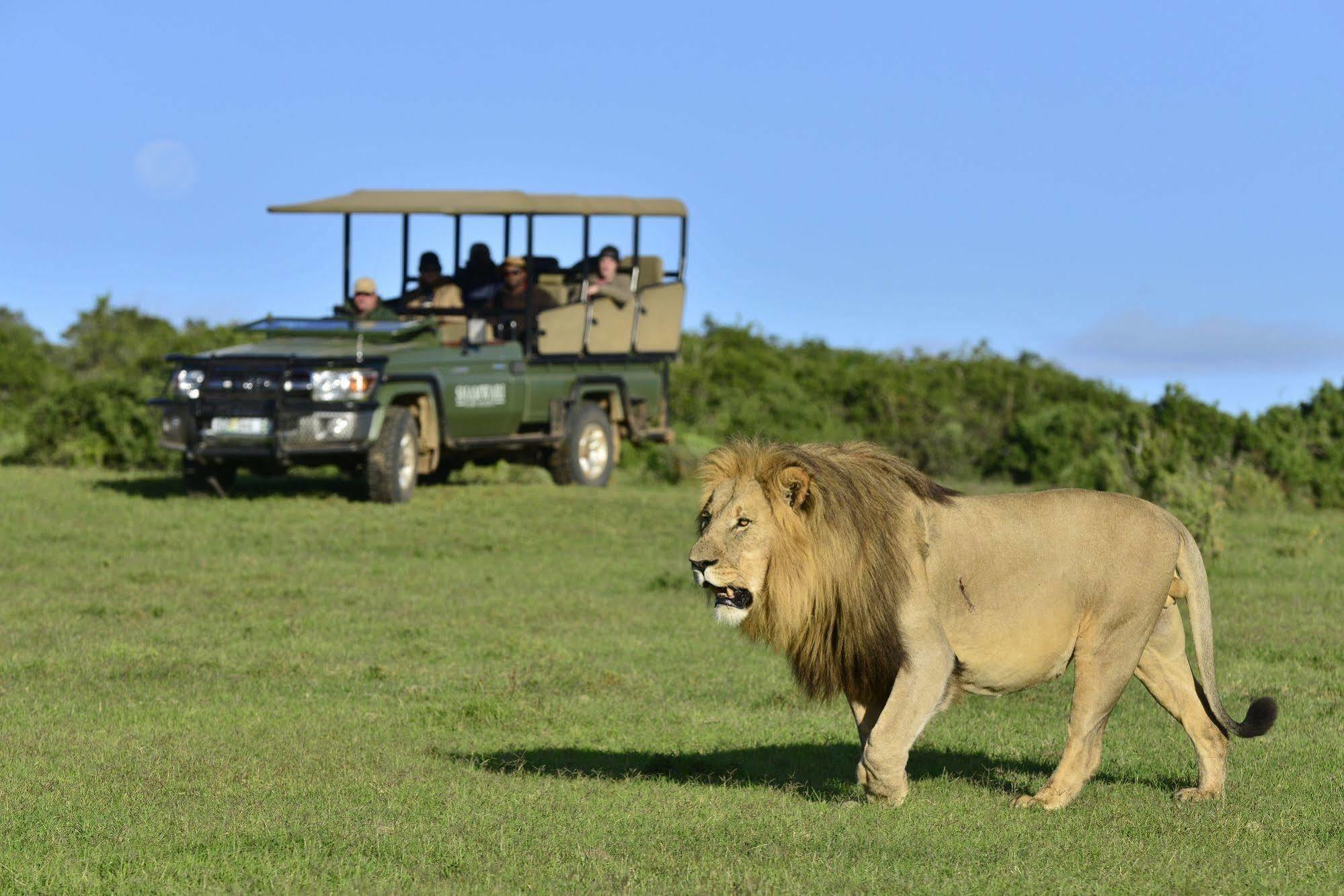 Shamwari Game Reserve Port Elizabeth Exterior photo