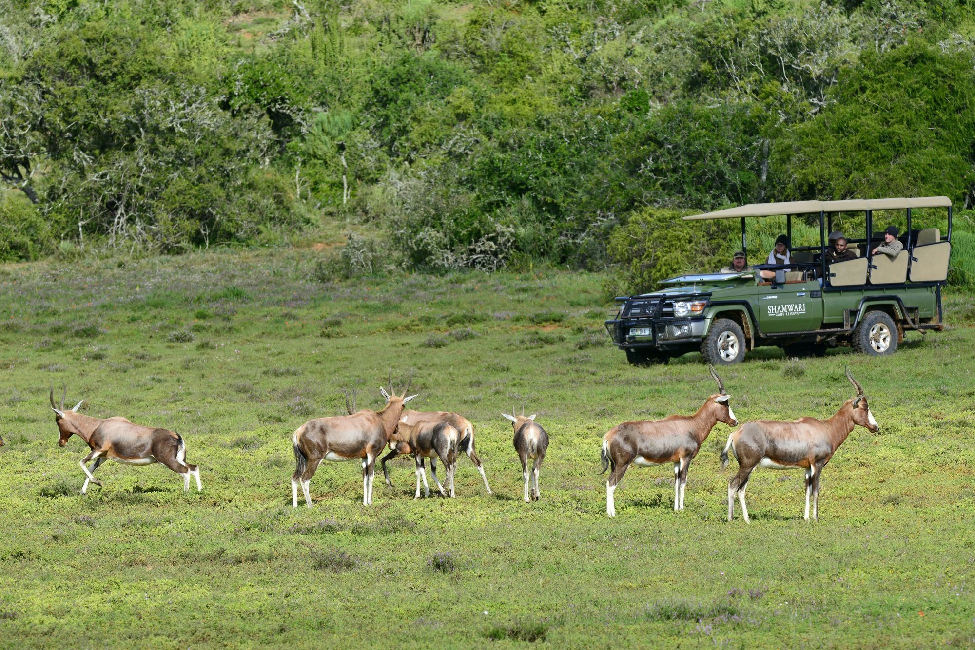 Shamwari Game Reserve Port Elizabeth Exterior photo